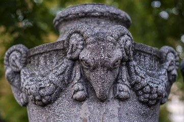 Ram Head on a jardiniere