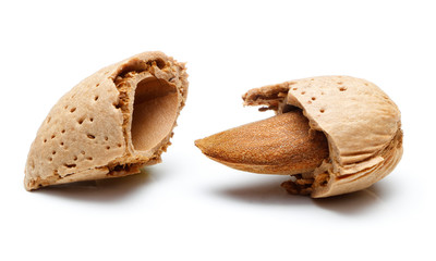Almond nut isolated