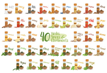 Set of 40 different culinary herbs, species and condiments in cartoon style.