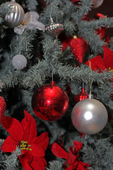 Christmass Balls