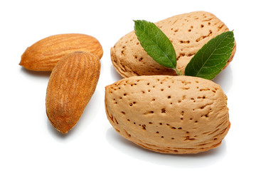 Almond nut isolated