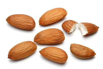 Almond nut isolated