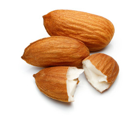 Almond nut isolated