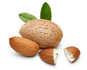 Almond nut isolated