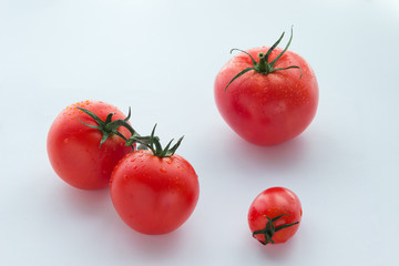 Three large and one small tomato on a white background