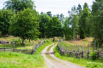 Fototapeta na wymiar Gravel road in a rural landscape in the countryside with meadows surrounded with wooden fences in summer.