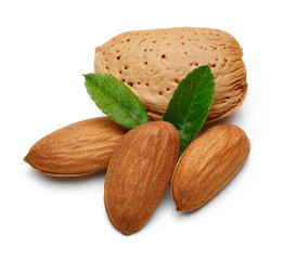 Almond nut isolated