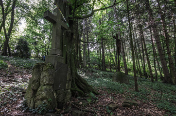 grab mit kreuz im wald