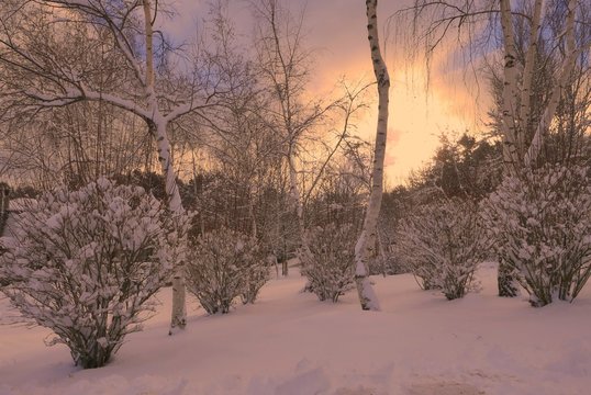 Snowy park