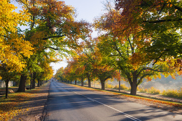 Obraz premium Maldon in Autumn