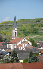 Fototapeta na wymiar Ihringen am Kaiserstuhl