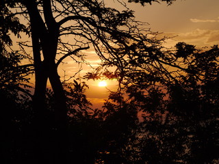 view of sunset through the trees