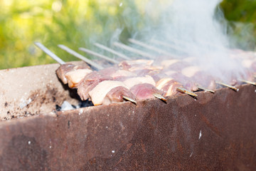 shish kebab on nature