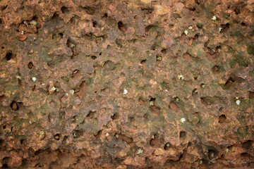 Laterite background at ancient castle.
