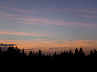 Beautiful Pastel Blue, Pink and Yellow Sunset Sky over the Silhouette of Pine Forest, Bavaria, Germany 