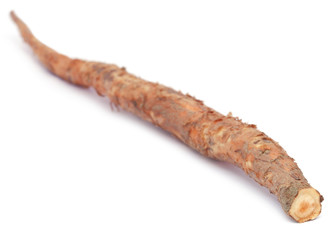 Root of Bomax tree