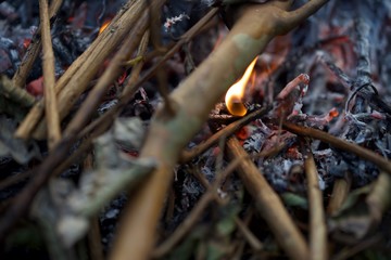 Bonfire in Yakushima.