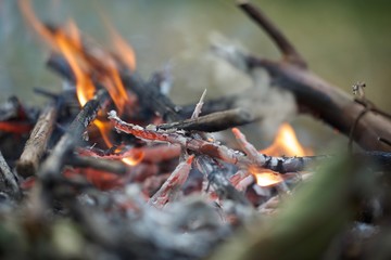 Bonfire in Yakushima.