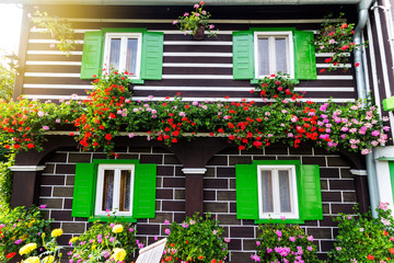 Fototapeta na wymiar Windows with open wooden shutters and fresh flowers