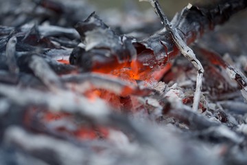 Bonfire in Yakushima.