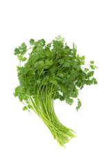 ハーブ　チャービル