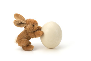 Easter Rabbit decorates an egg