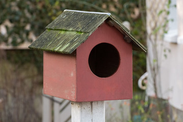 wooden house for the birds