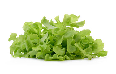 lettuce isolated on the white background.