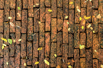 Pictures of the sidewalks are paved with red bricks.