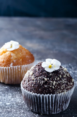 homemade chokolate and vanilla capcakes