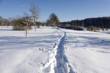 Fototapeta na wymiar winter snow landscape nature