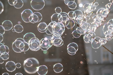 Soap bubbles flying in the air