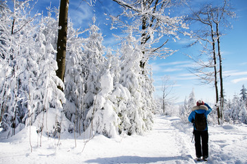 Walk in winter, Spaziergang im Winter, Winterwald, Copy space