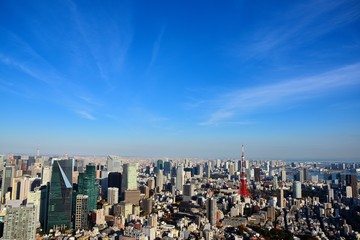 Obraz premium 東京の風景