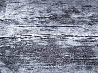 Fototapeta premium Grey wooden texture