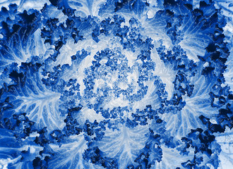 abstract blue terxture