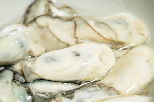 生牡蠣