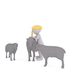 3D man shepherd with sheeps