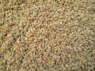 Full frame shot of Golden raisins