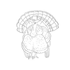 Turkey hat Thanksgiving.