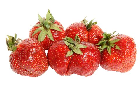 red,sweet strawberries