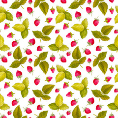 Seamless pattern with berries. Colorful illustration. Watercolor handpainted texture on white background for wallpaper, blogs, cover