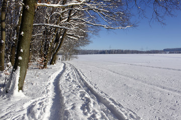 winter snow landscape nature