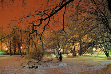 Zimowy park w nocy w niezwykłym oświetleniu. - obrazy, fototapety, plakaty