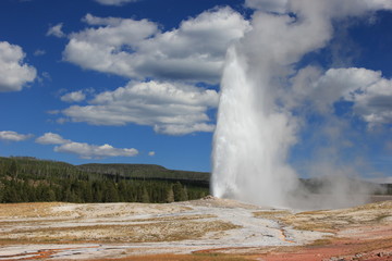 Yellowstone Park