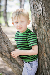Happy young boy sitting in a tree at the park