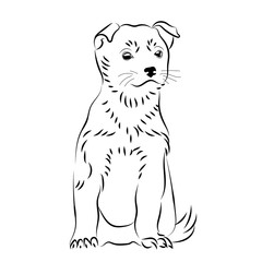 Vector puppy hand drawn sketch isolated