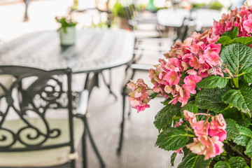 Blurred background, a summer terrace of a country restaurant. Flowerbed, forged tables and chairs