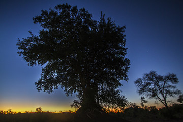Sunrise in Kruger National park, South Africa