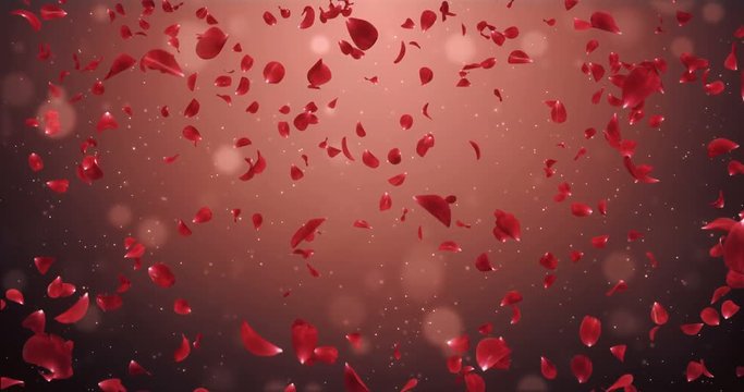 Flying Romantic Dark Red Rose Flower Petals Falling Background For St. Valentine's Day, Mother's Day, wedding anniversary greeting cards, wedding invitation or birthday e-card Loop 4k